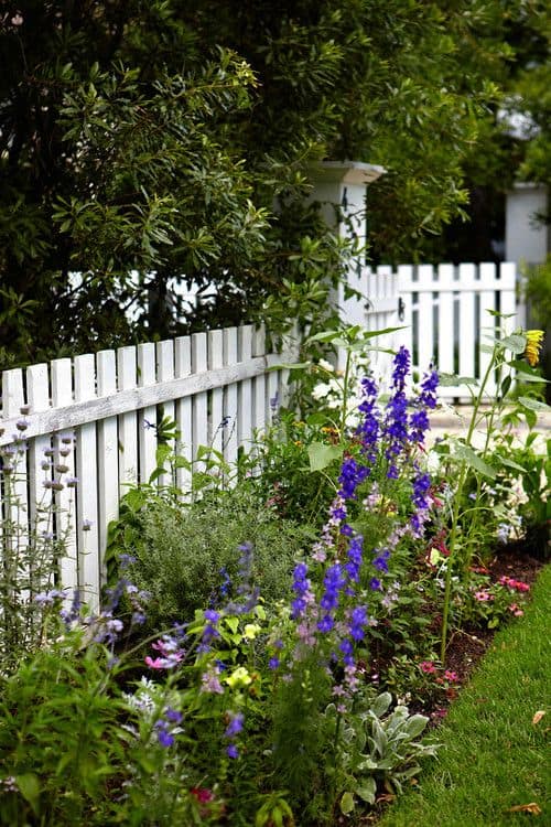 White picket fences on the front yard  garden