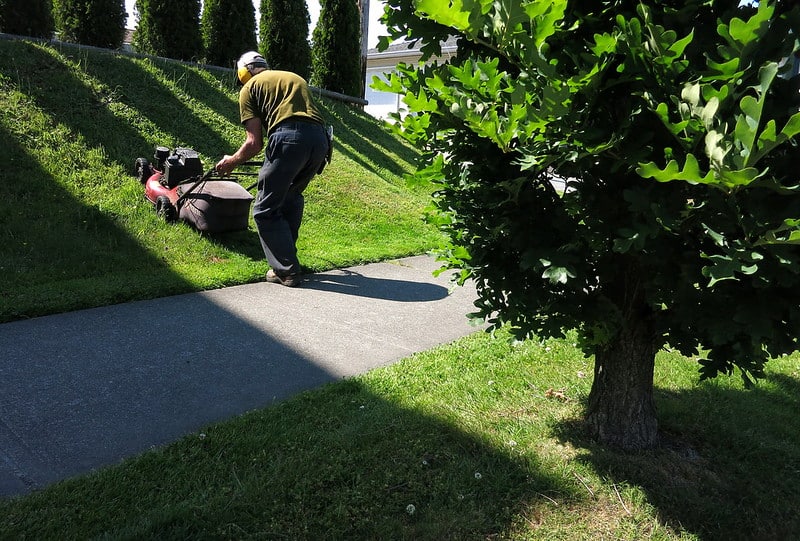A man on ear muffs while doing his lawn mower job