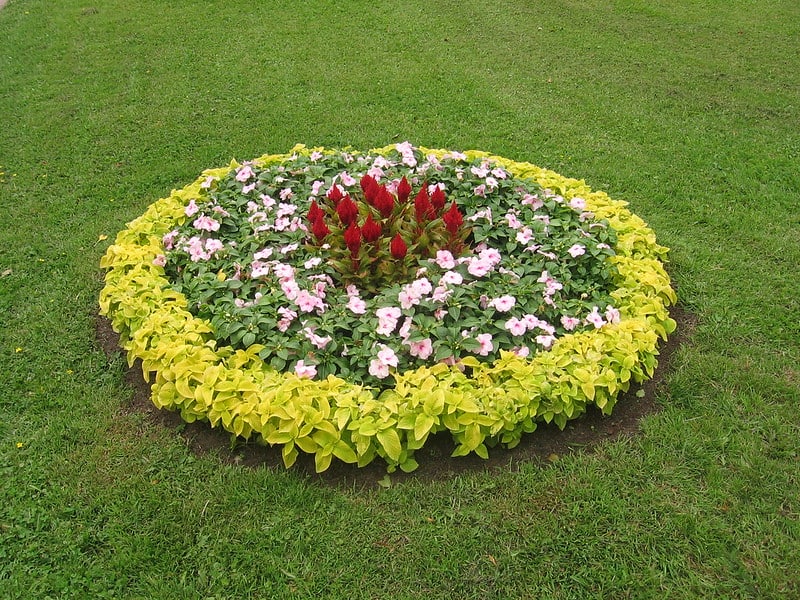 A beautiful circle shaped rain garden flower arrangement.