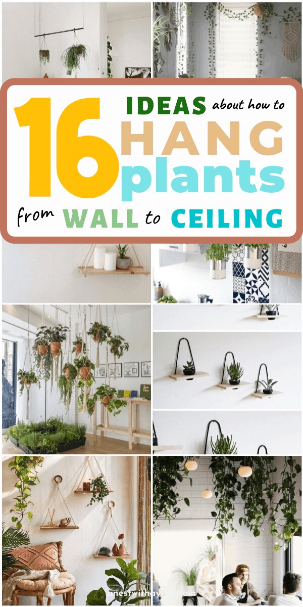 17 Ideas About How to Hang Plants From Ceiling and Wall  #ceiling #indoorGardenIdeas #indoorgardendesigns #indoorgardenapartment #apartmentindoorgarden #apartmentgardening #plants