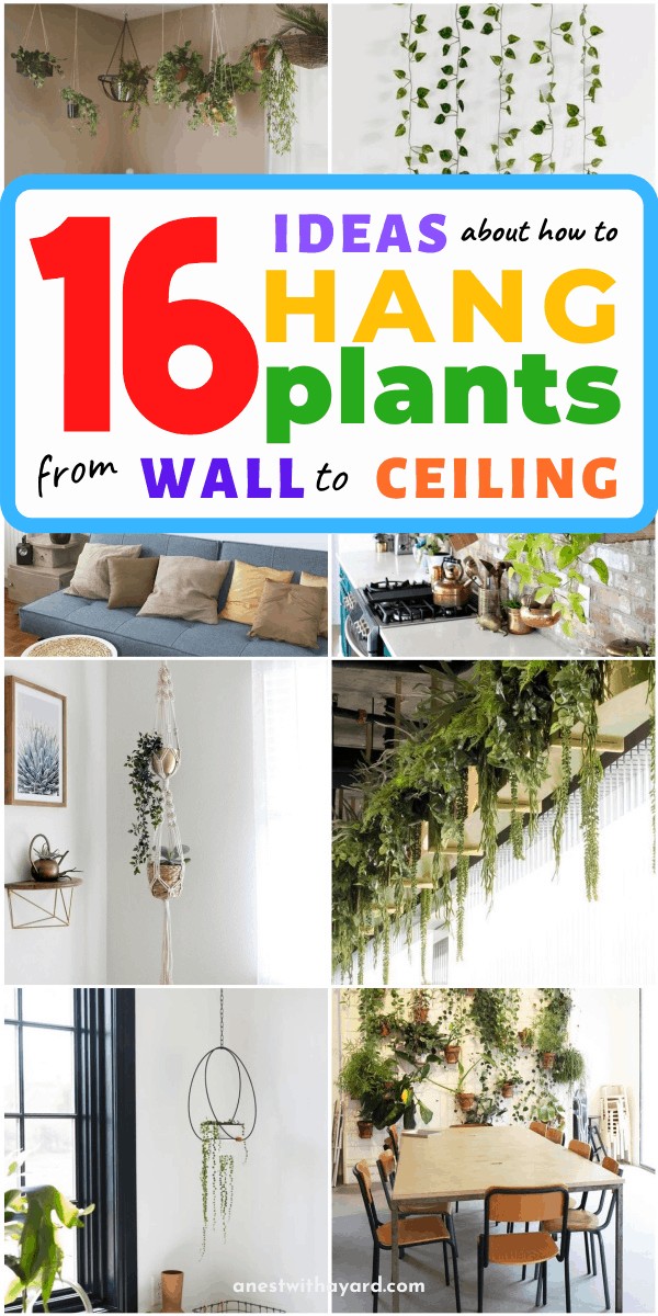 16 Ideas About How to Hang Plants From Ceiling and Wall #ceiling #indoorGardenIdeas #indoorgardendesigns #indoorgardenapartment #apartmentindoorgarden #apartmentgardening #plants