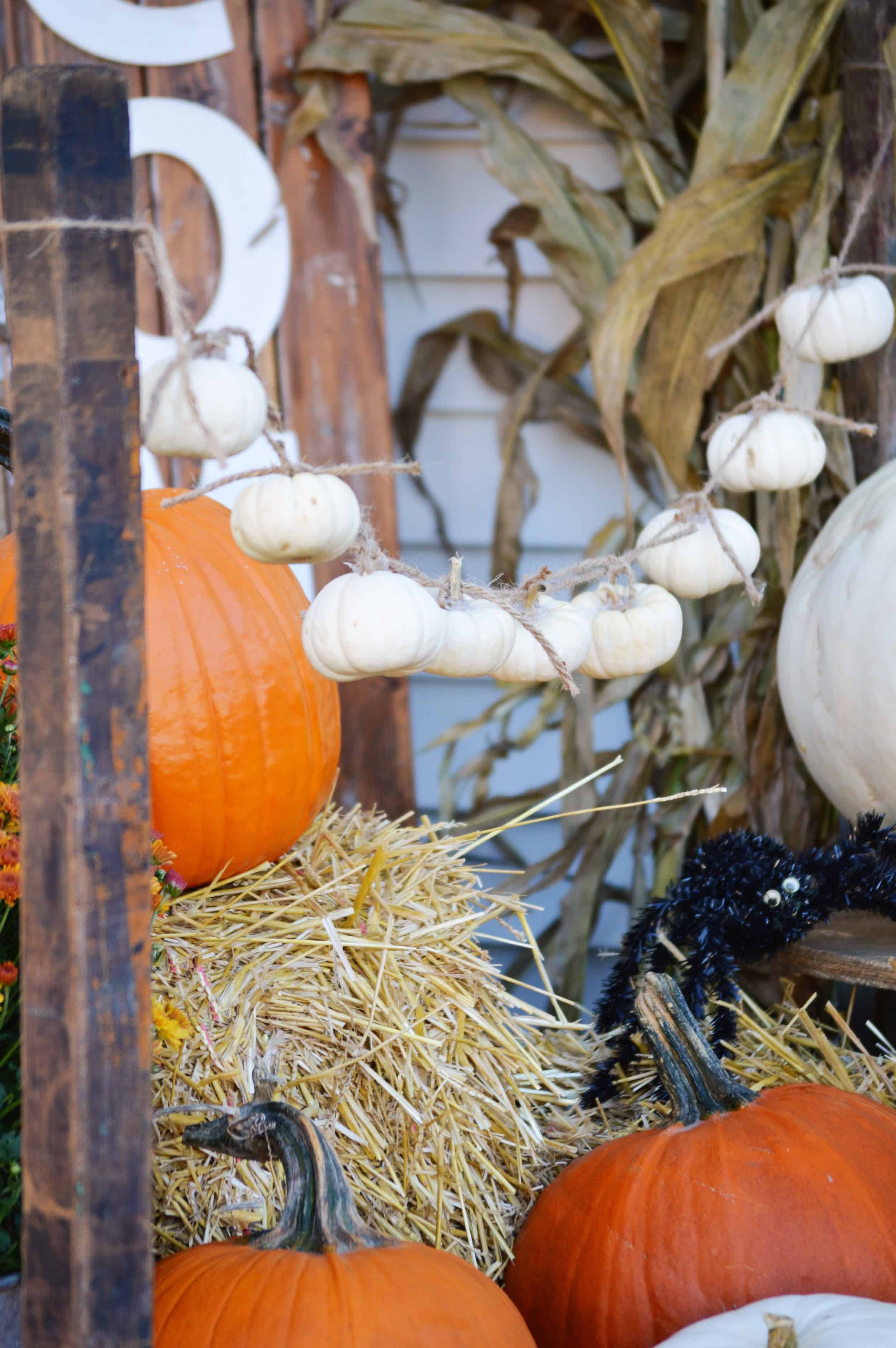 Easy Fall Decorating Ideas theothersideofneutral
