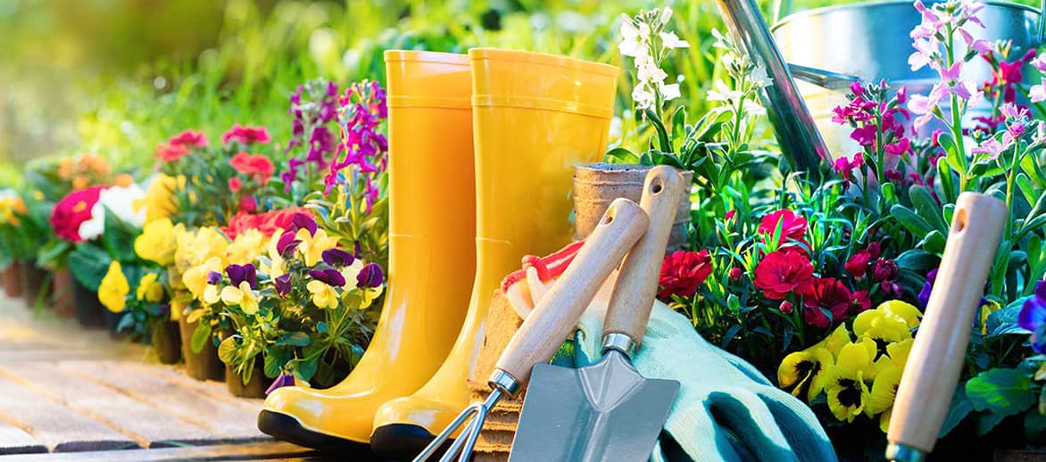 How Gardening Helps the Environment: flowering plants, gardening tools and yellow boots
