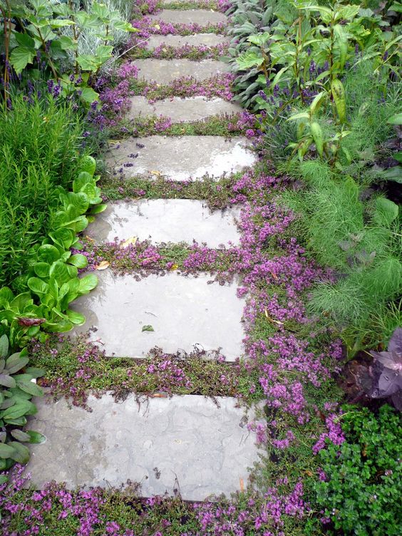 Flowers creating a contrast to the neutral color stones as a steps for the the walkway  #walkway #Hardscaping #backyardLandscaping #backyardLandscapingIdeas #landscaping #cheapLandscapingIdeas #backyard #landscaping #curbAppeal #steppingStones #flowers