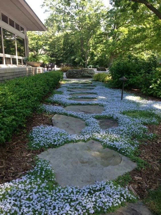 garden walkway with different sizes of stones and tiny flowering plants in between each stones  #walkway #Hardscaping #backyardLandscaping #backyardLandscapingIdeas #landscaping #cheapLandscapingIdeas #backyard #landscaping #curbAppeal #flowers #steppingStones