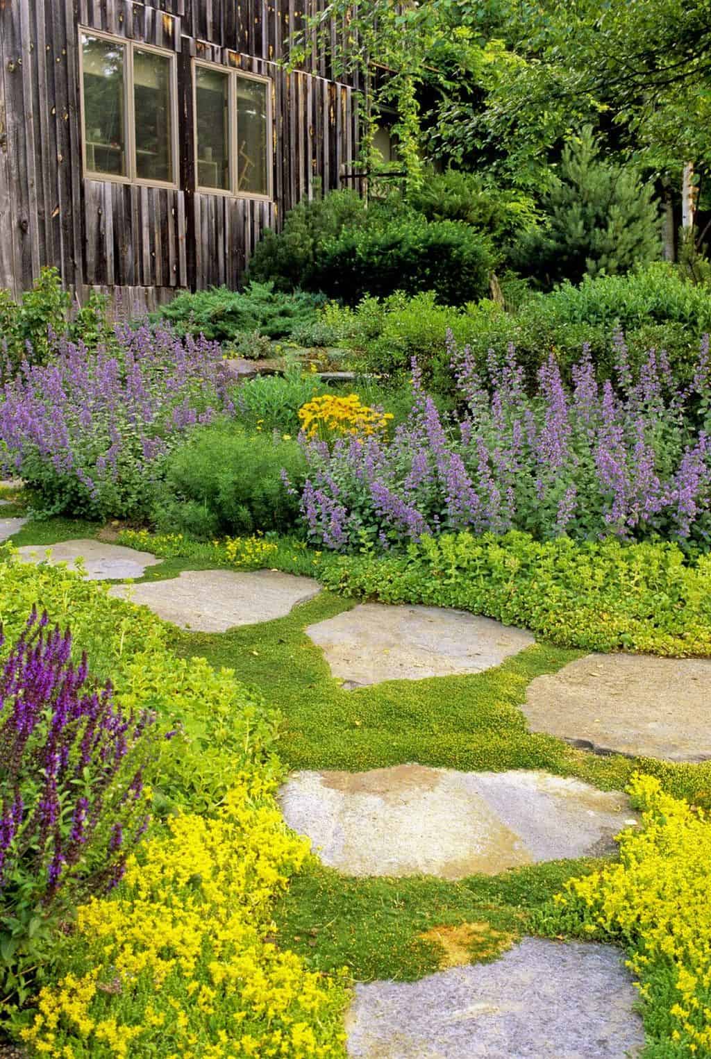 garden walkway with stones for the steps and there are grasses in between each stones   #walkway #Hardscaping #backyardLandscaping #backyardLandscapingIdeas #landscaping #cheapLandscapingIdeas #backyard #landscaping #curbAppeal  #steppingStones #flowers
