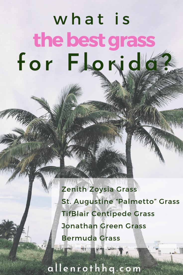 What is the best grass for Florida? Check out  5 kinds #grass #lawn #backyardLandscaping #backyardLandscapingIdeas #landscaping
