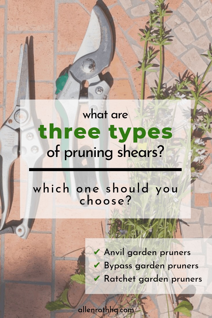 Types of Pruning Shears #gardenScissors #gardenShears #garden #gardenTools #gardenTips #gardening #landscaping #landscape #backyardLandscaping