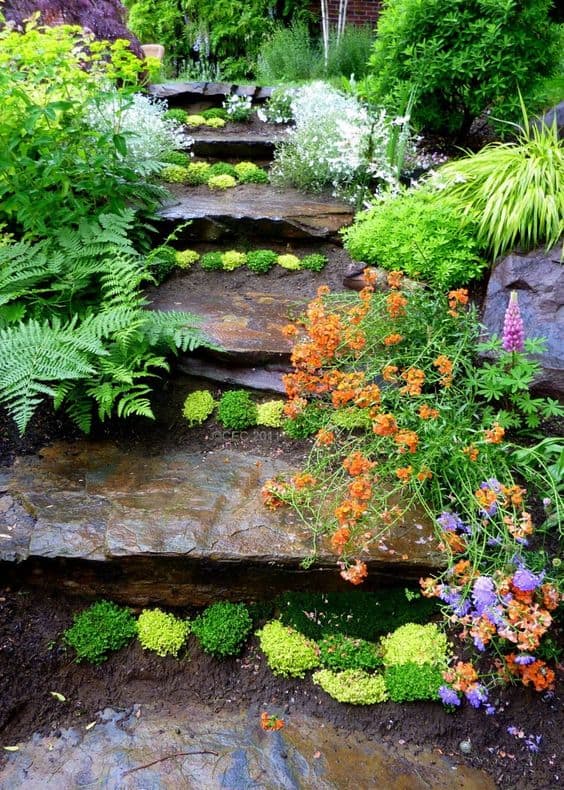 garden stepped pathway  #fern  #Hardscaping #walkway #backyardGarden #garden #gardening #backyardLandscaping #backyardLandscapingIdeas #landscaping #cheapLandscapingIdeas #landscape #curbAppeal #outdoorliving