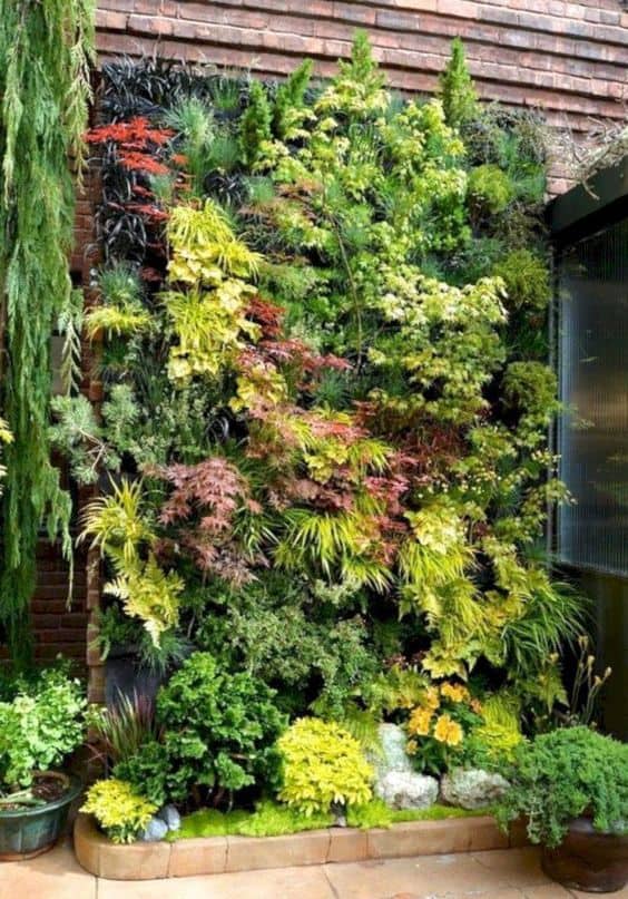 wall covered with ferns and different kinds of plants #fern #backyardGarden #garden #gardening #backyardLandscaping #backyardLandscapingIdeas #landscaping #cheapLandscapingIdeas #landscape #curbAppeal #outdoorliving