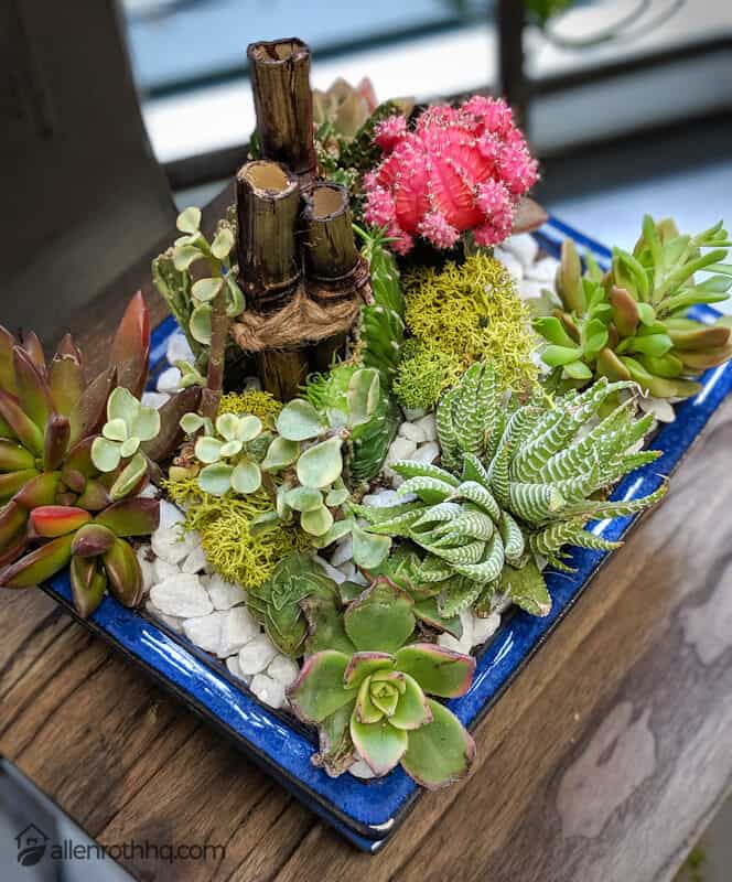 Forget flower bouquets. How about a succulent arrangement from Urban Jungle? #succulents #garden #gardening #homedecor #containers #indoorplants #containergarden 