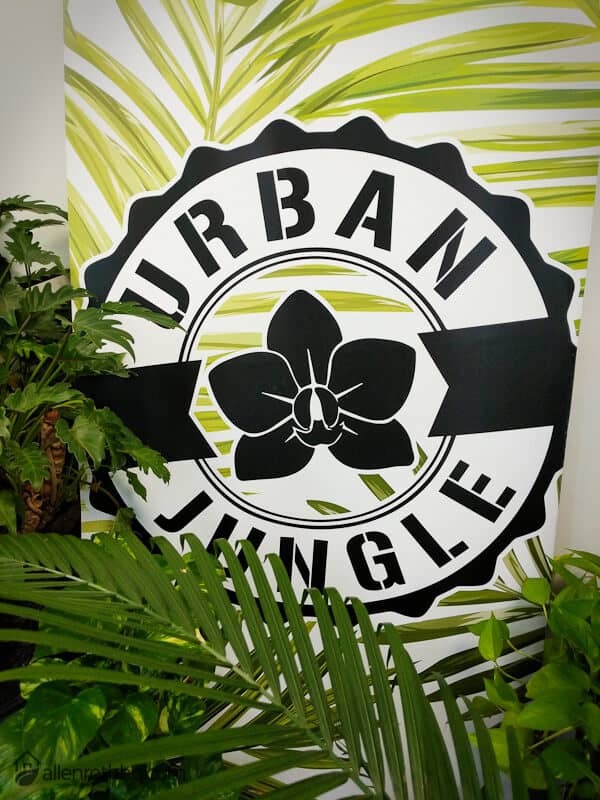 Urban Jungle specializes in low maintenance plants. #succulents #garden #gardening #homedecor #containers #indoorplants #containergarden  