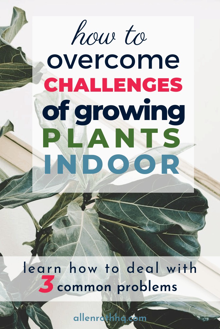 Here are 3 tips to make your indoor garden work for you. #containers #planters #gardenplanters #garden #gardening #gardenTips #gardenDIY
