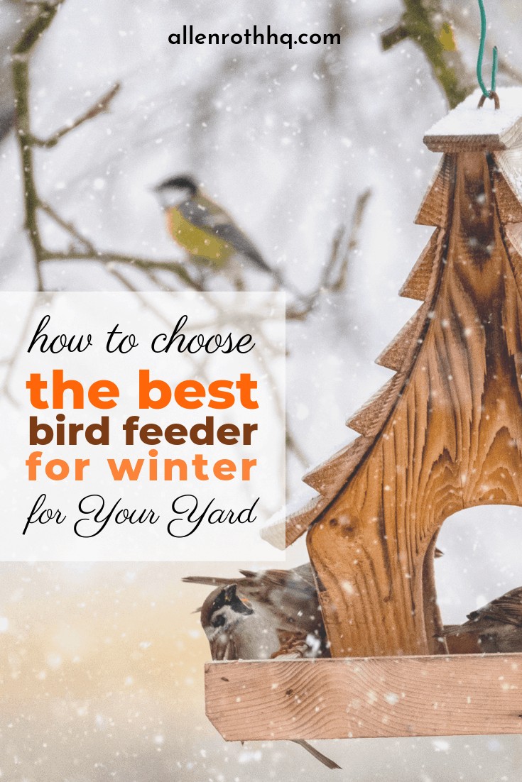 best bird feeders for winter 2