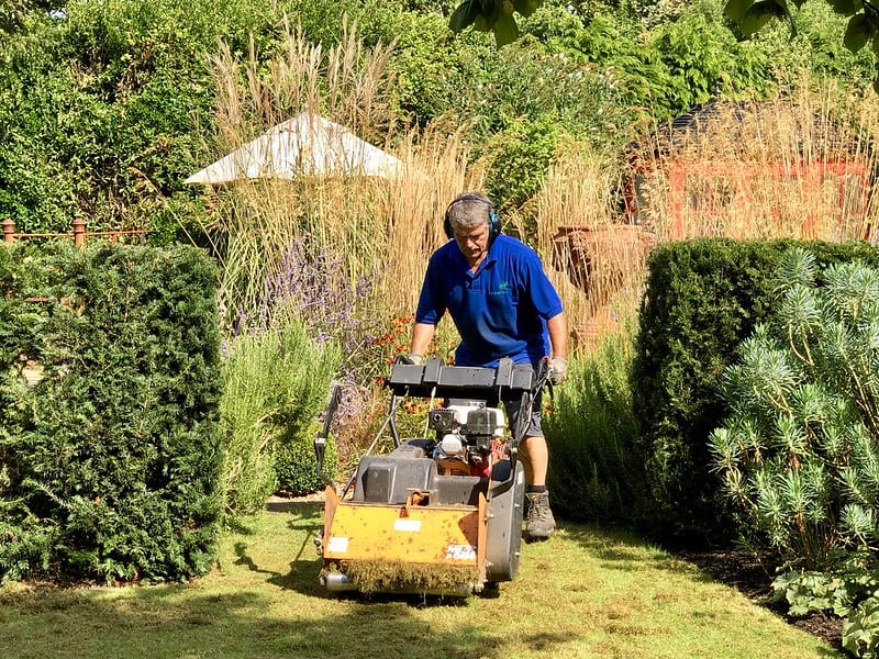 A man on blue shirt power raking his lawn