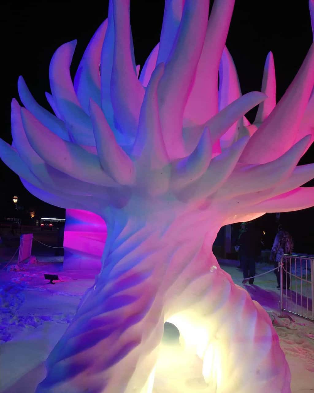 An underwater plant shape snow sculpture