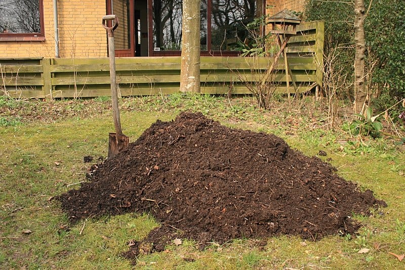 A pile of soil
