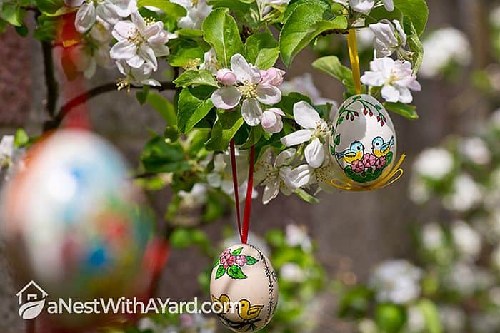 Easter tree with painted egg decorations