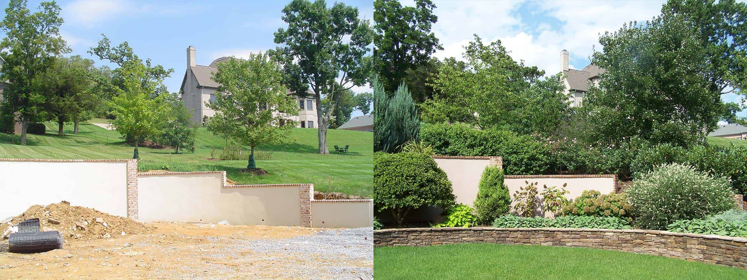 Lawn transformation before and after