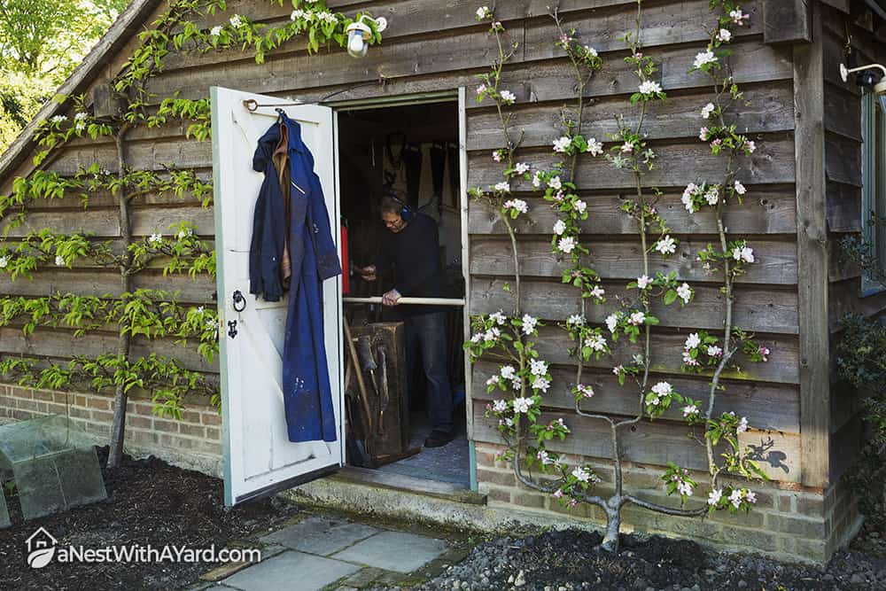 A garden shed workshop with plants trailing up the outside, flowering. 