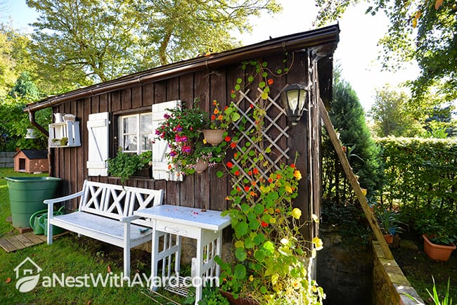 Garden storage shed space with beautiful decorations