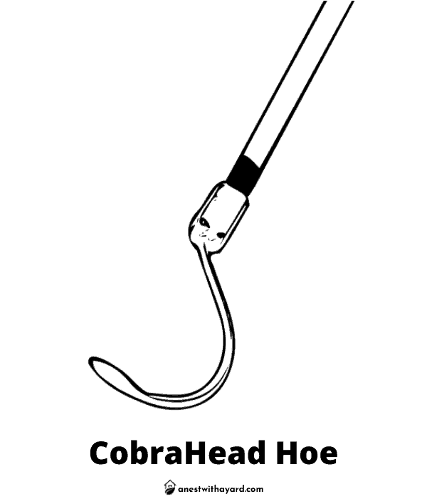 Illustration of CobraHead Hoe
