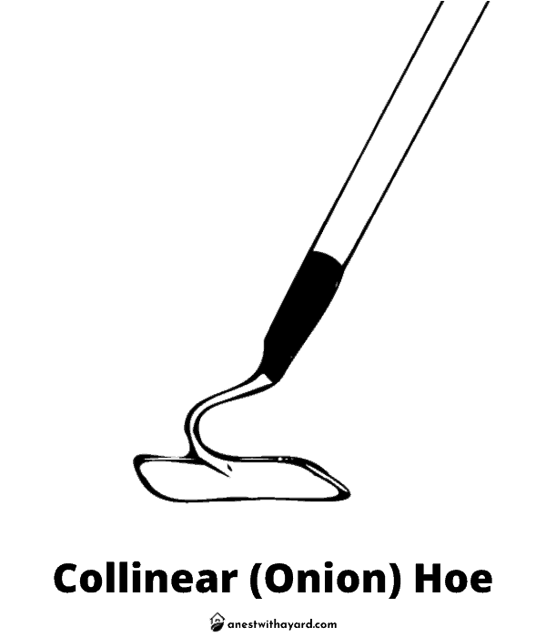 Illustration of Collinear (Onion) Hoe