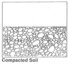 Compacted soil