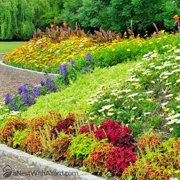 A berm planted with beautiful flowering plants