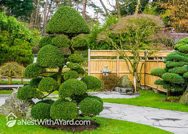 Traditional japanes front lawn design
