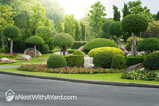 Front yard with carefully trimmed shrubs