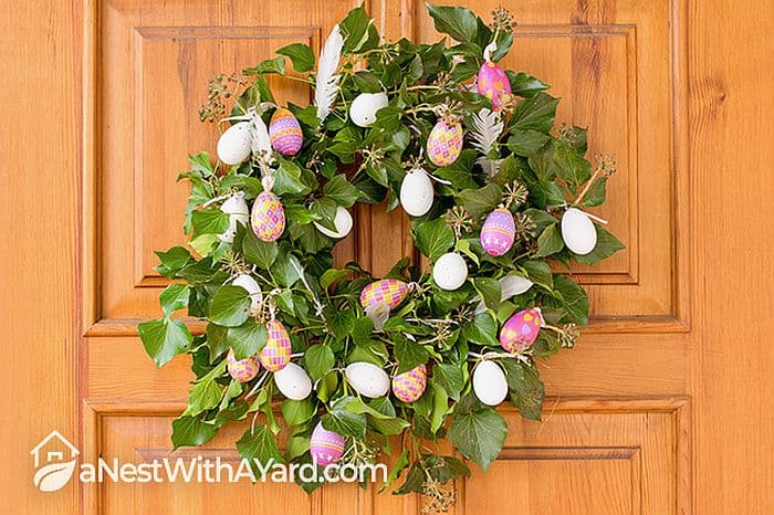 Green ivy Easter wreath