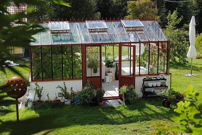Greenhouse with plexiglass roof and wall