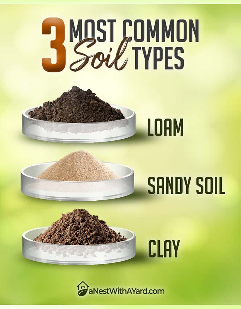 An infographic about soil types