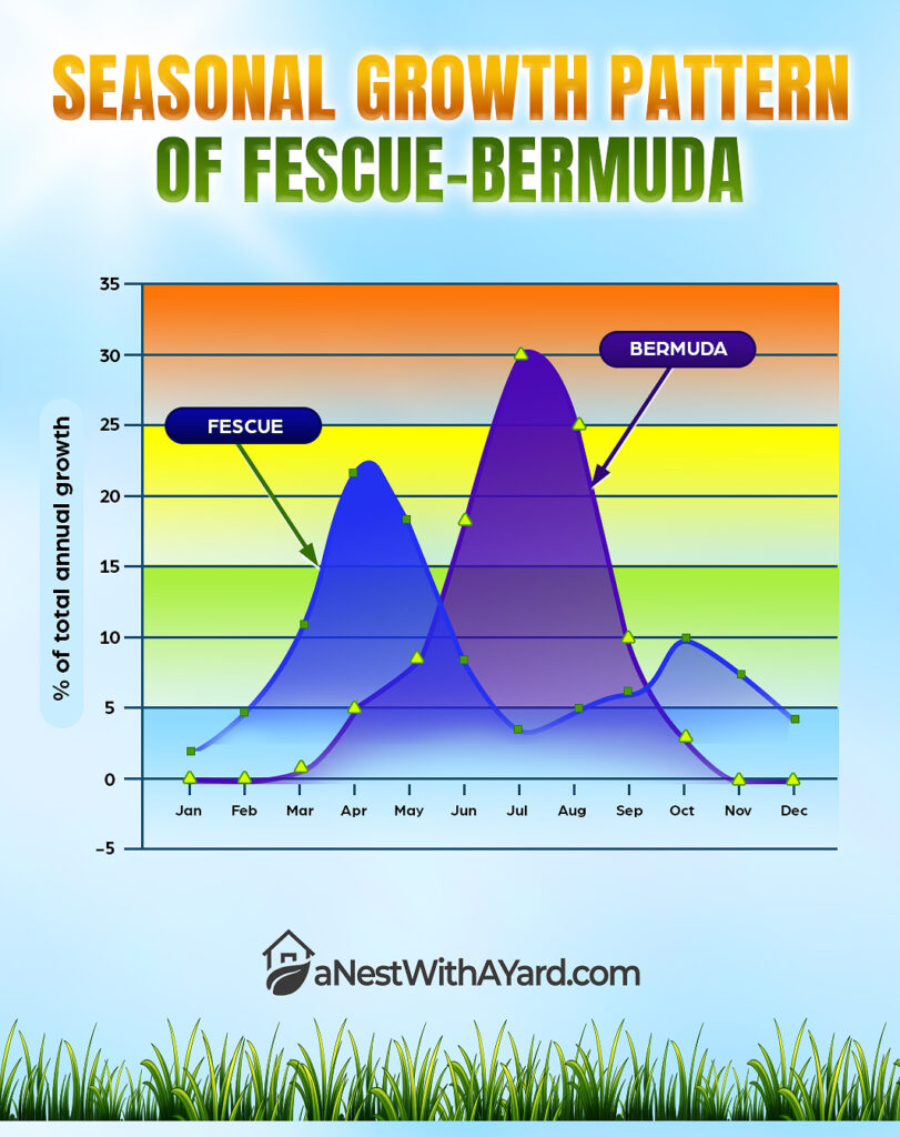 Seasonal growth pattern of fescue-bermuda