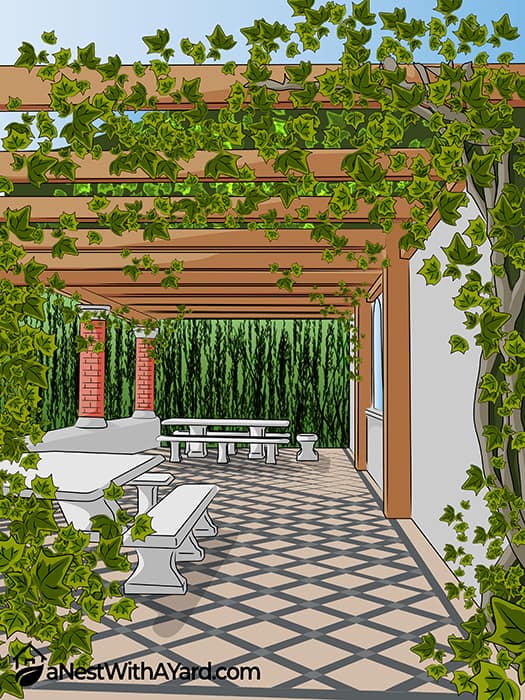Keep the vines tamed using a pergola.