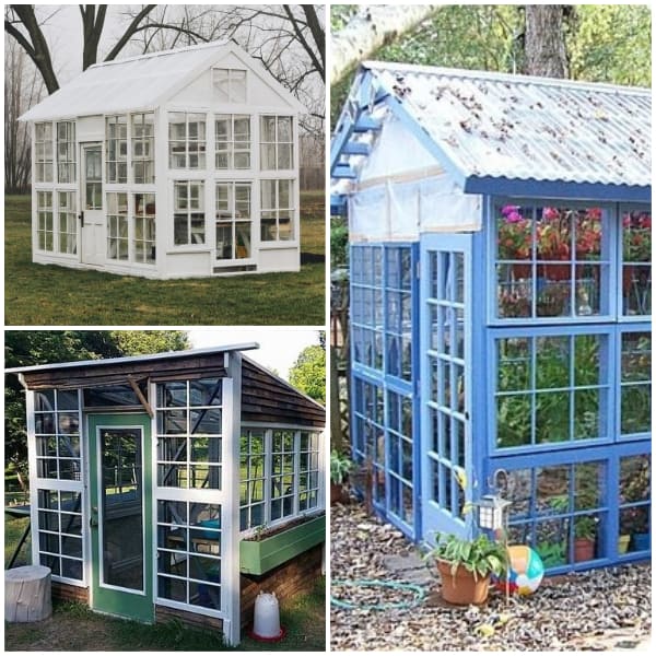 Greenhouse ideas made from old windows