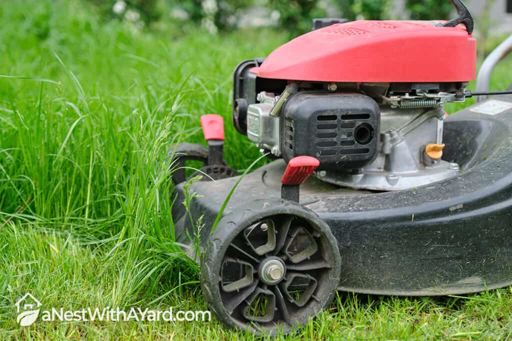 How Often To Change Oil In Lawn Mower? Find Out Now!
