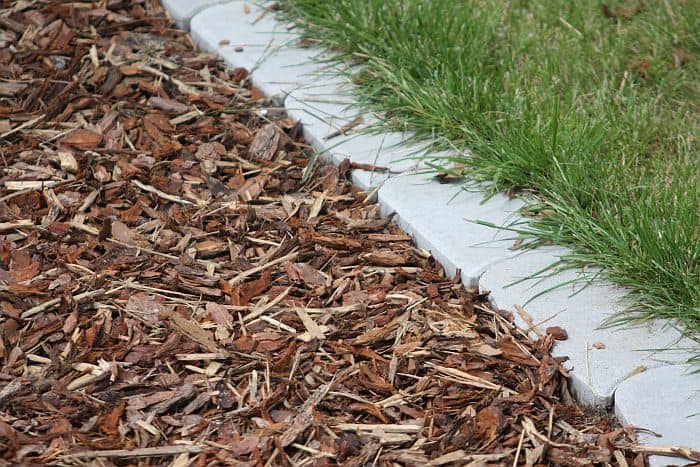 Wood chips, bark and dead leaves as mulch