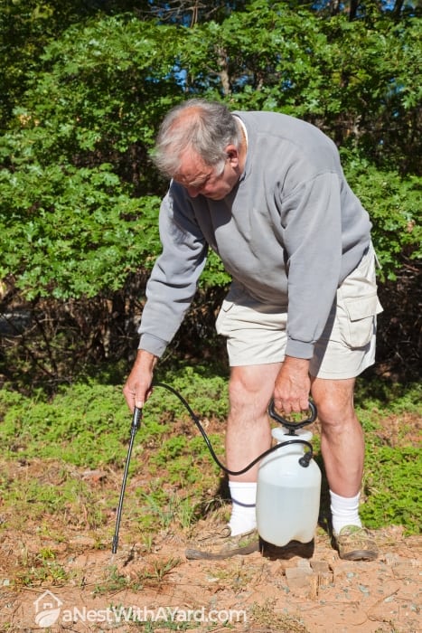 A senior man spraying on weeds