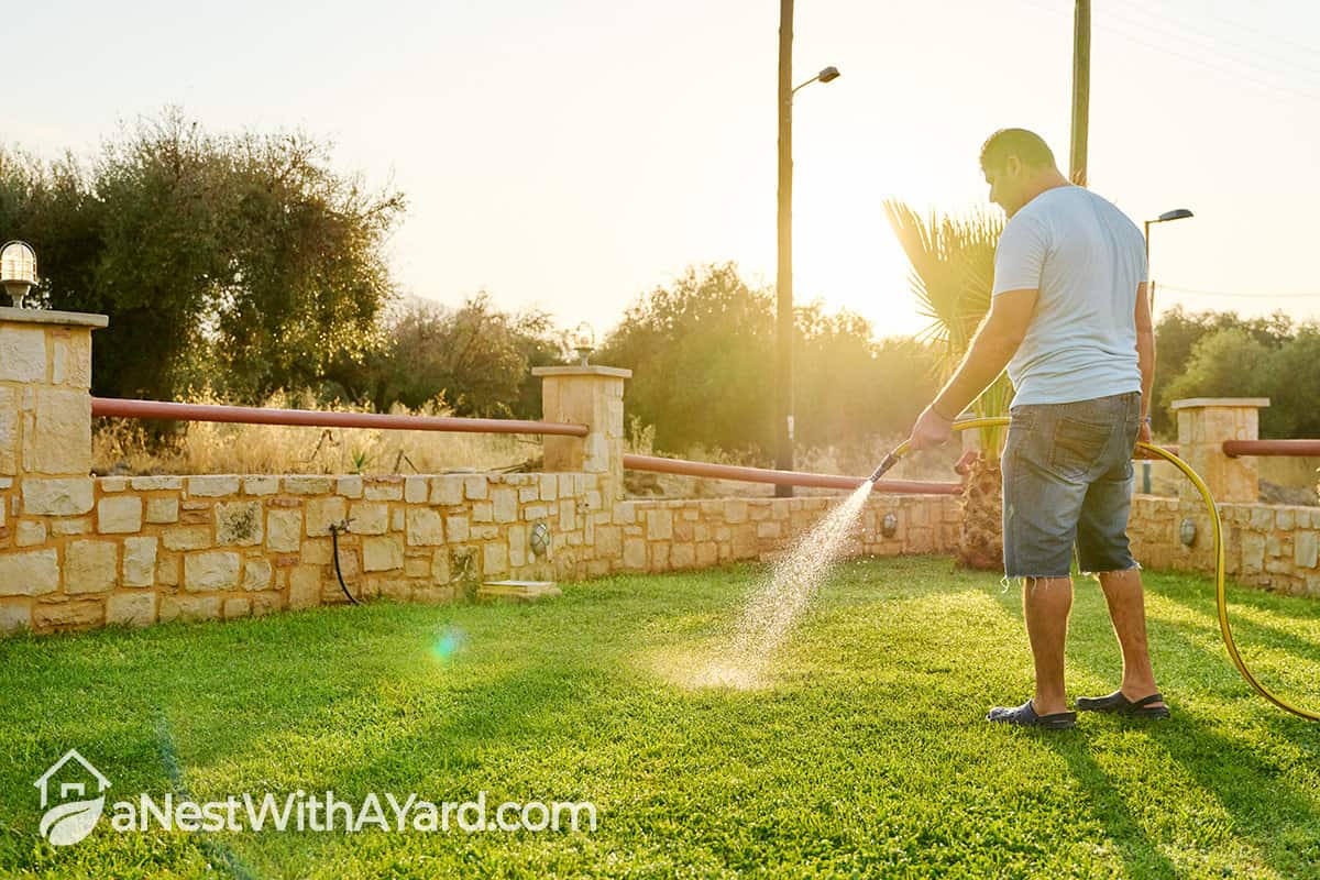 The Best Lawn Watering Tips To Keep Your Lawn Green And Lush