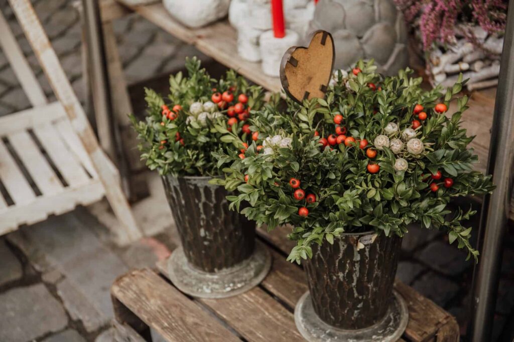 23 of the best winter container garden ideas for your backyard #christmas #containers #planters #gardenplanters #christmasBall
