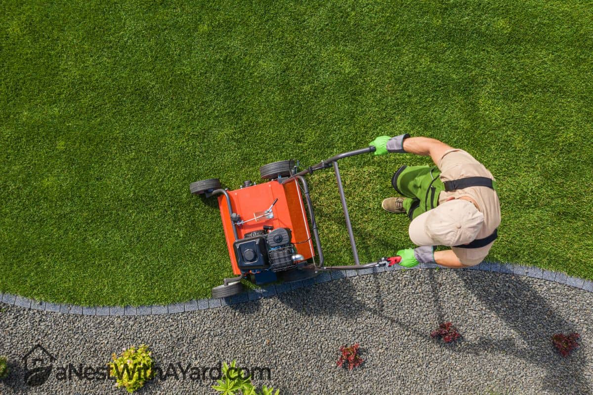 Wondering When To Power Rake Lawn? Here’s What You Need To Know!