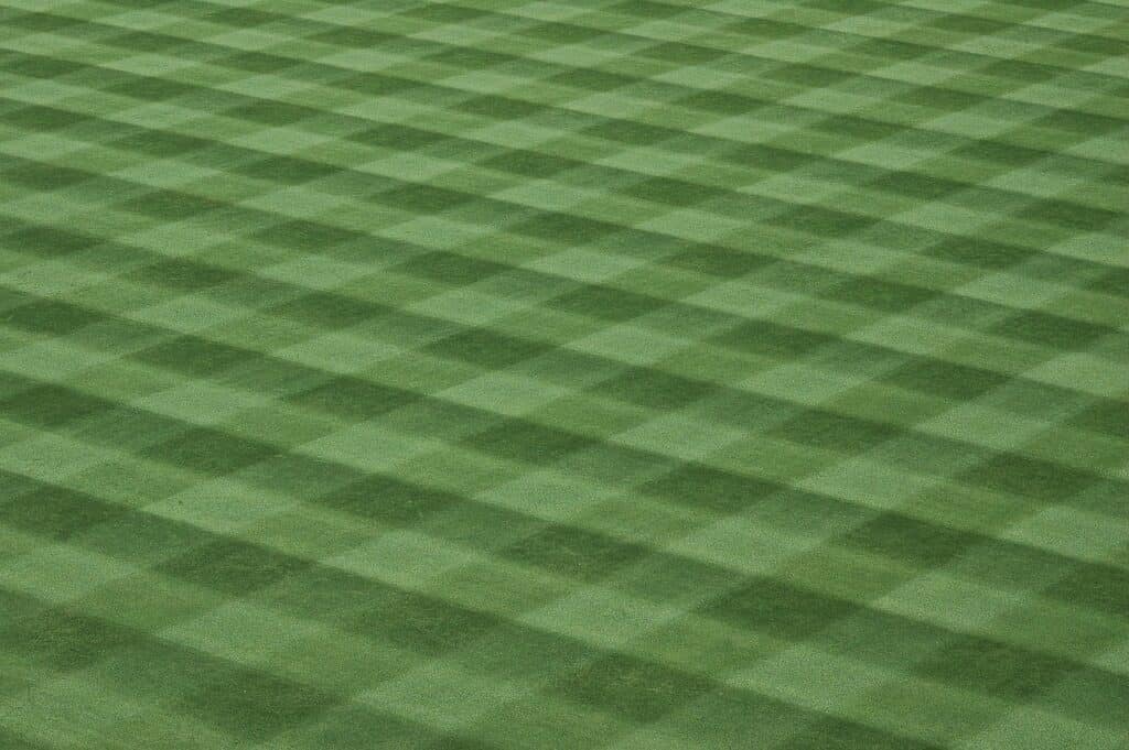 Checkered lawn design