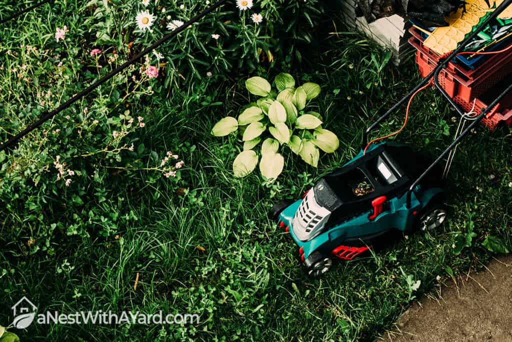 Can You Mow Wet Grass? - 5 Reasons Not To!