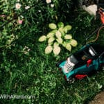 Can You Mow Wet Grass? – 5 Reasons Not To!