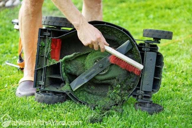 Man with brush cleaning lawnmower from old grass