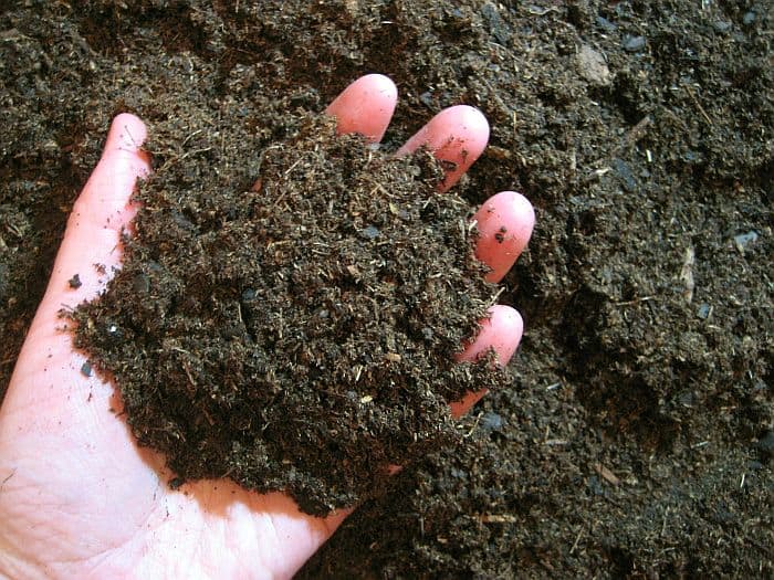 A handful of dirt