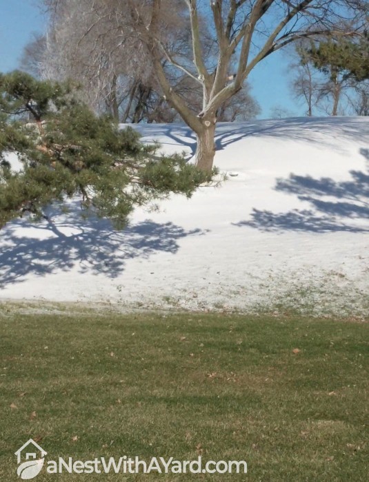 A part of the lawn covered with snow