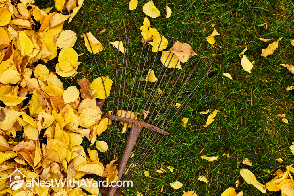 The 8 Best Fall Lawn Care Tips